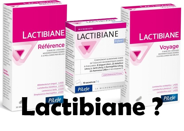 Which lactibiane to choose at pileje?